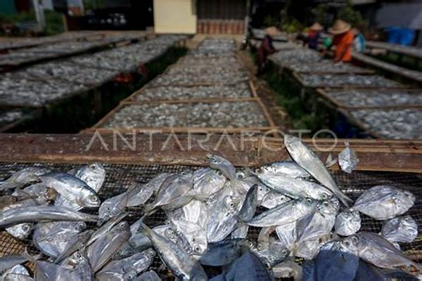 “efisiensi Waktu Pengeringan Ikan”
