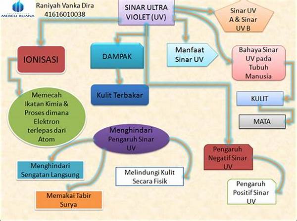 Mekanisme Kerja Sinar Uv Dalam Dekontaminasi