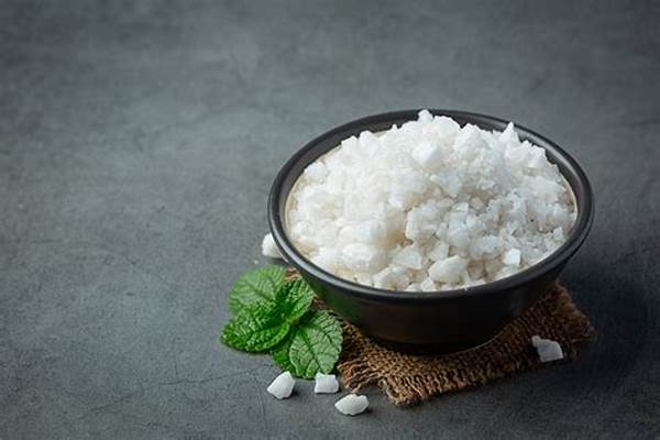 Alternatif Pengawet Alami Untuk Makanan