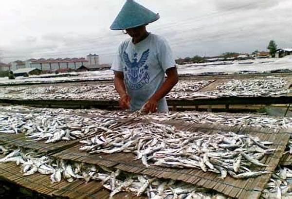 Metode Tradisional Pengawetan Ikan