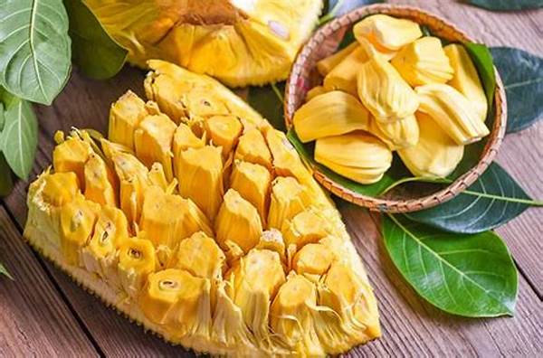 Manfaat Buah Nangka Untuk Kesehatan