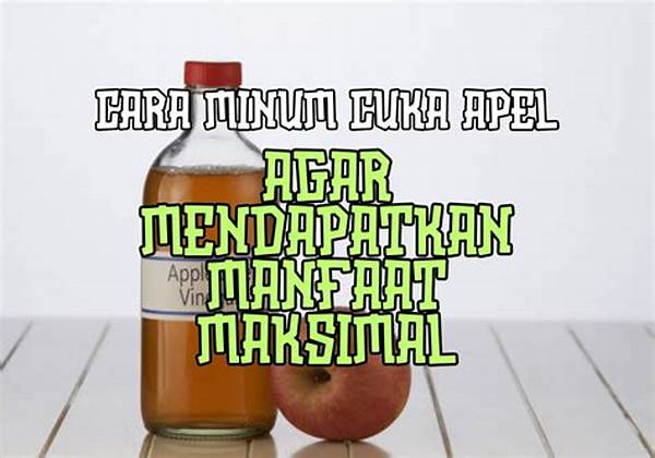 Cara Minum Cuka Apel Untuk Kesehatan
